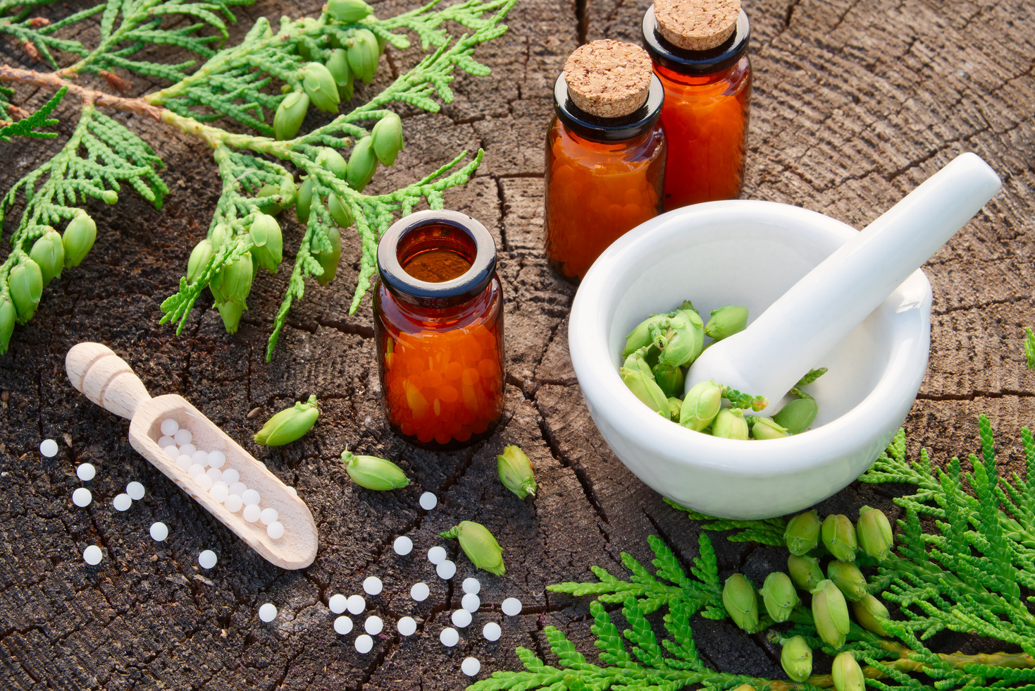 Bottles of homeopathic globules, Thuja occidentalis drugs, mortar and pestle. Homeopathy medicine concept.